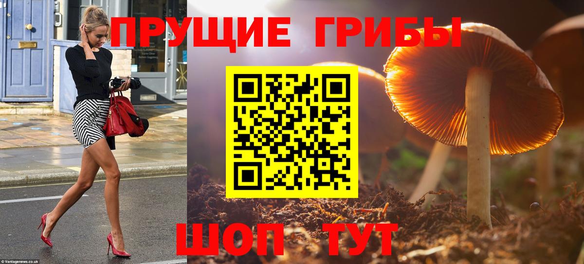 Галлюциногенные грибы MAGIC MUSHROOMS Шебекино