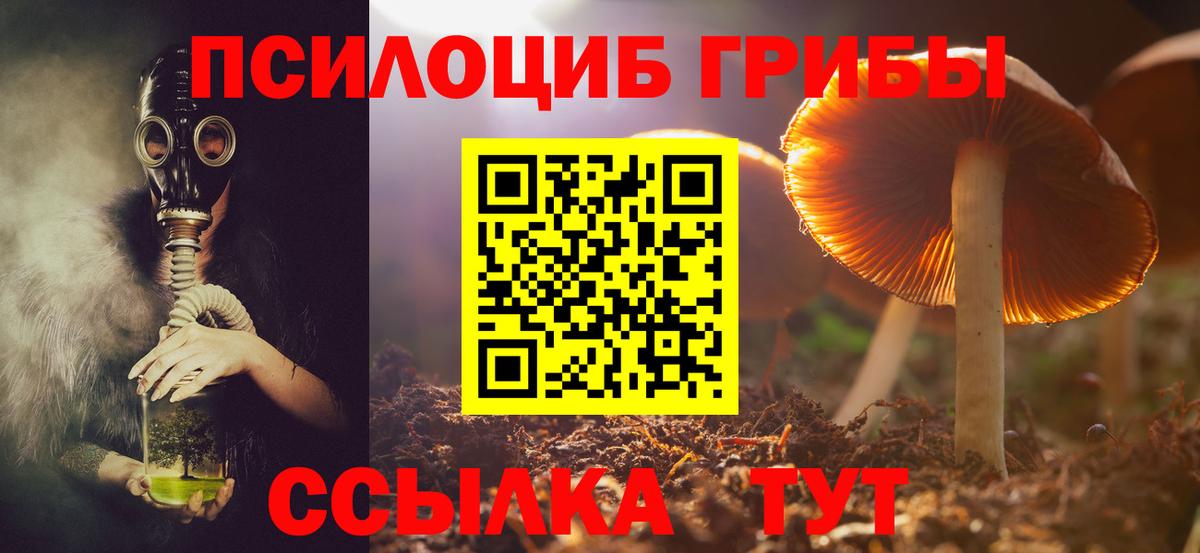 Шебекино  Псилоцибиновые грибы MAGIC MUSHROOMS  Псилоцибиновые грибы GOLDEN TEACHER  Вход с VPN 